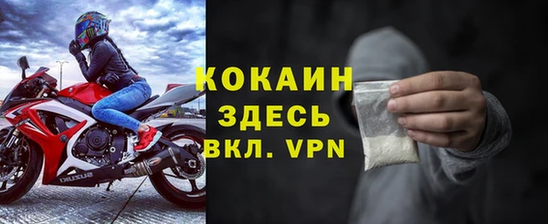 прущие грибы Абаза