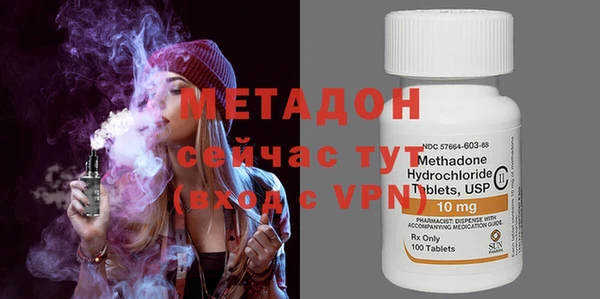 прущие грибы Абаза