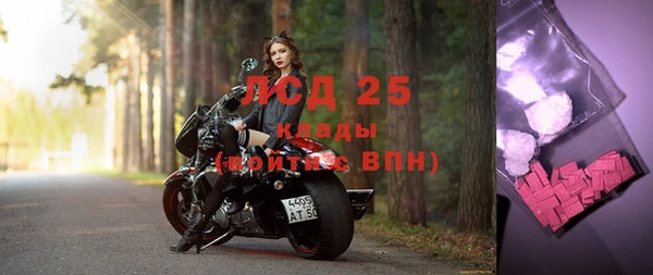 прущие грибы Абаза