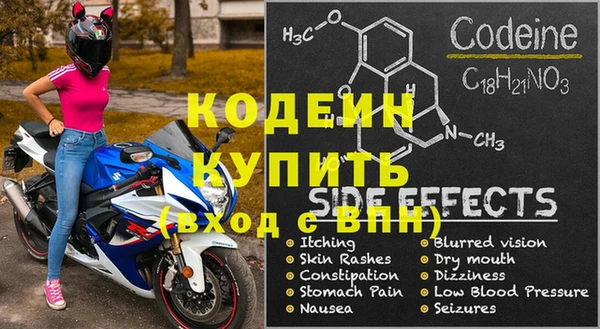 прущие грибы Абаза