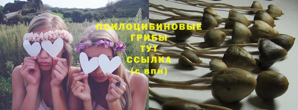 прущие грибы Абаза